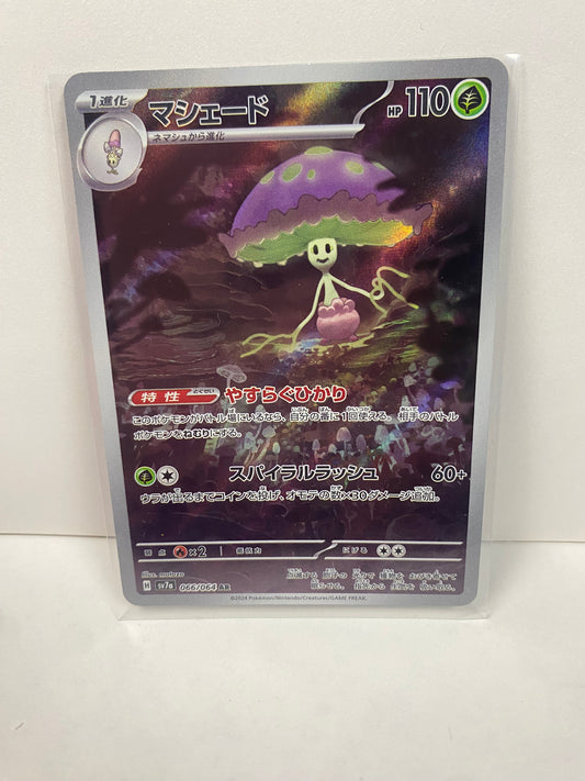 Japanese Shiinotic 066/064