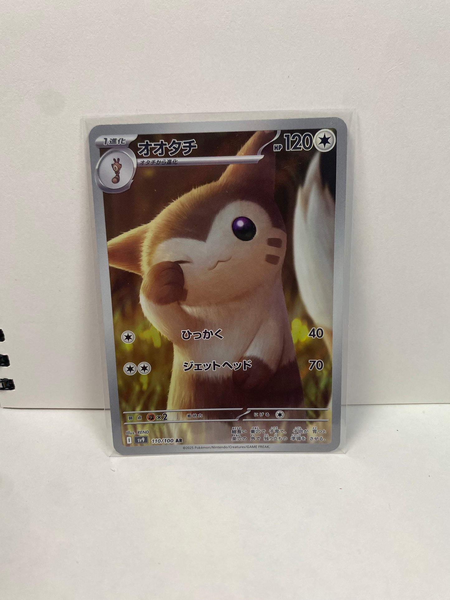 Japanese Furret 110/100